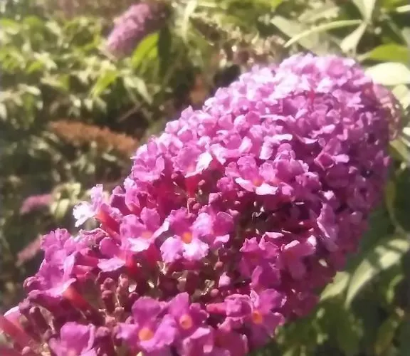 شقة Bibor-lak Oekoszallashely